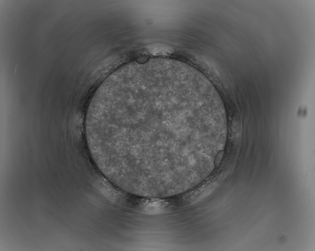 X0000094350321200711301408