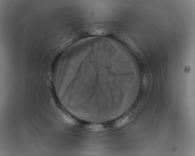 X0000094350322200711301408