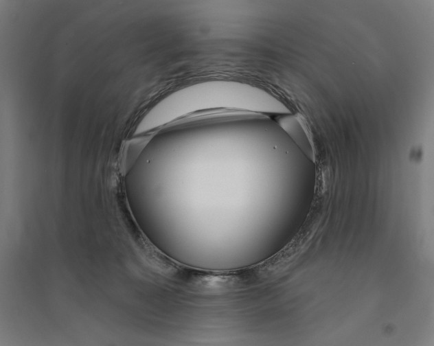 X0000094350323200711301408