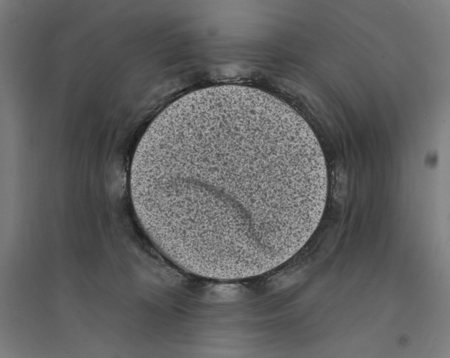 X0000094350324200711301408