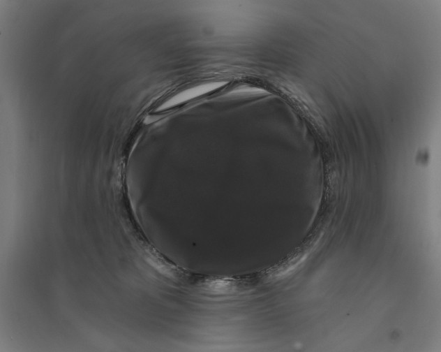 X0000094350325200711301408