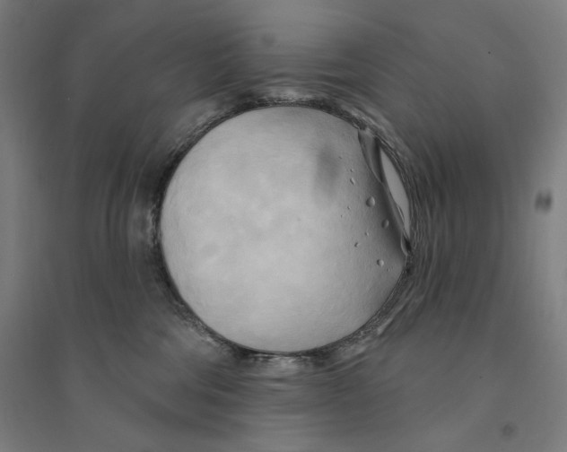 X0000094350330200711301408