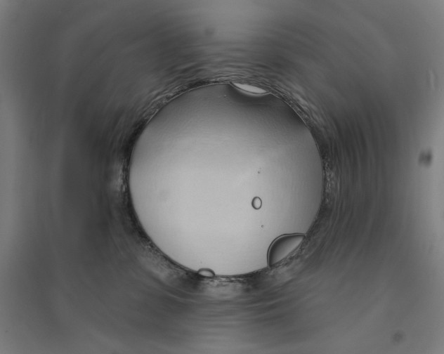 X0000094350331200711301408