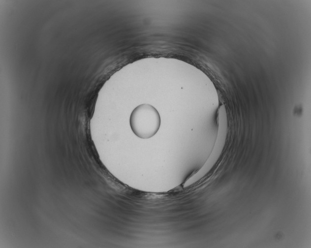 X0000094350333200711301408