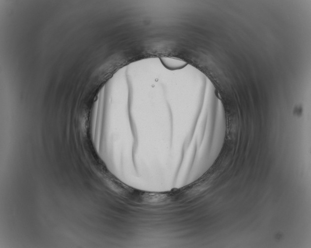 X0000094350334200711301408