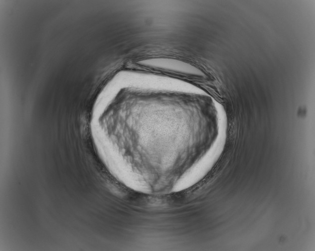 X0000094350335200711301408