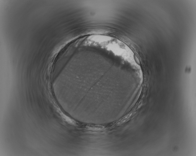 X0000094350337200711301407