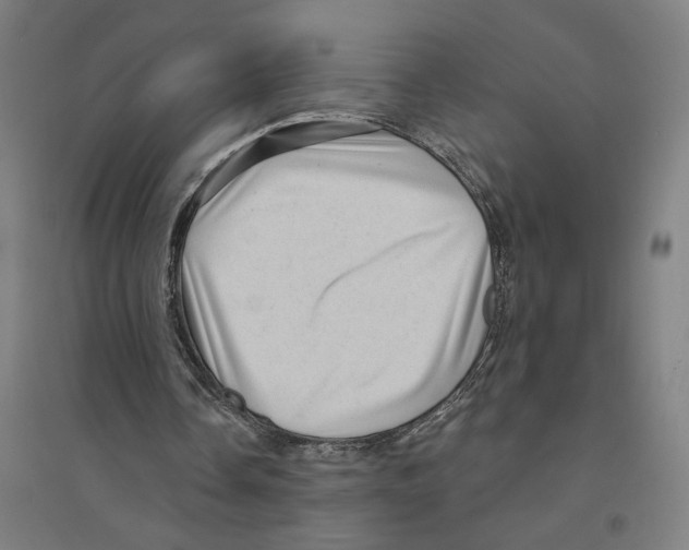 X0000094350338200711301407
