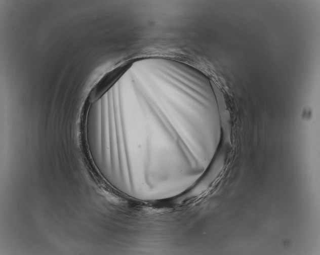 X0000094350340200711301407