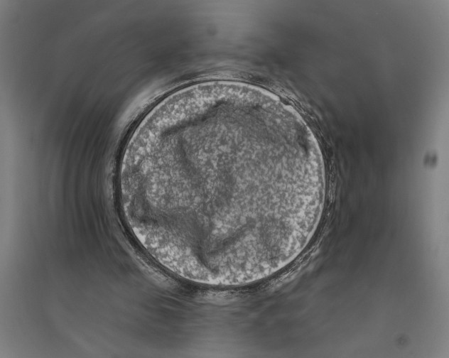 X0000094350341200711301407