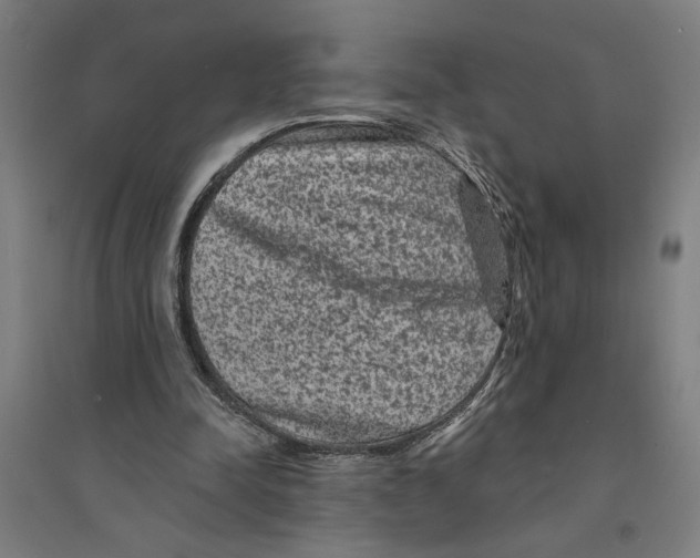X0000094350342200711301407