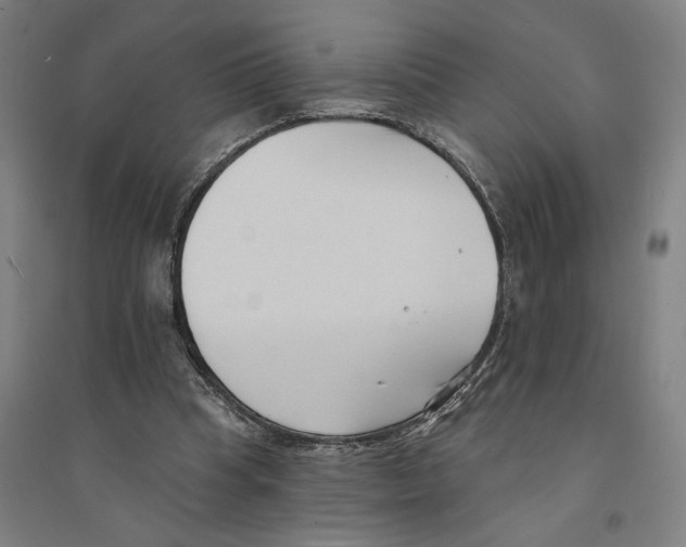 X0000094350345200711301407