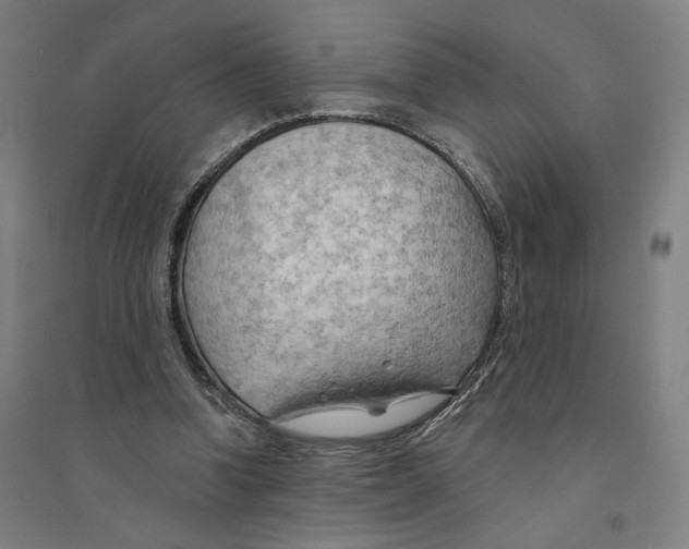 X0000094350346200711301407