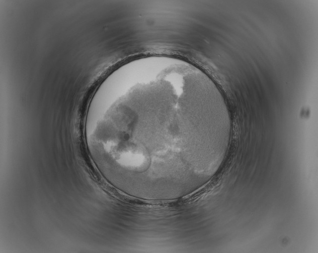 X0000094350347200711301407