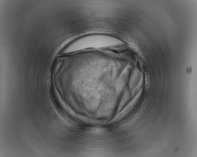 X0000094350348200711301407