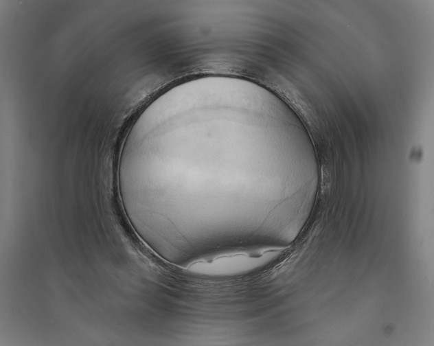 X0000094350349200711301407