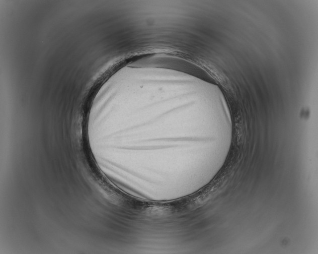 X0000094350350200711301407