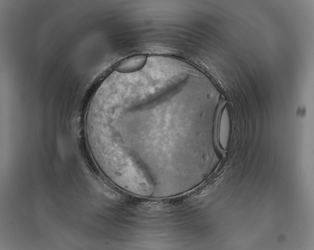 X0000094350351200711301407