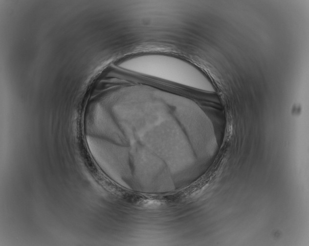 X0000094350352200711301407