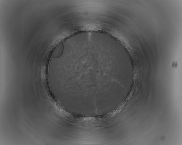 X0000094350353200711301407
