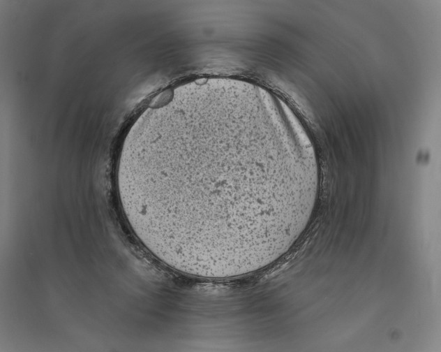 X0000094350354200711301407