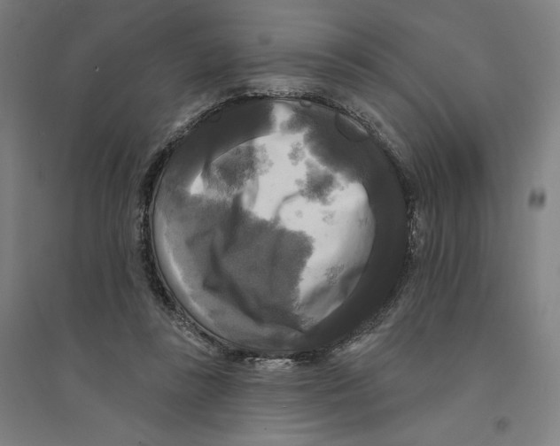 X0000094350355200711301407