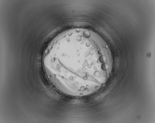 X0000094350356200711301407