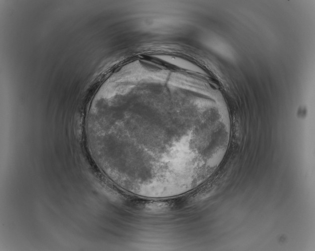 X0000094350357200711301407