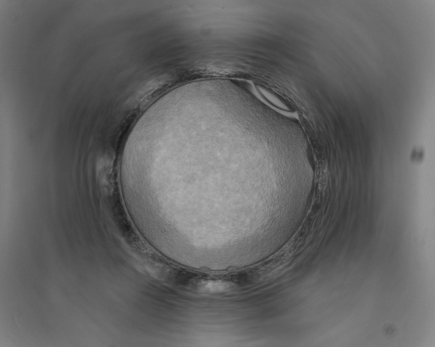 X0000094350360200711301407