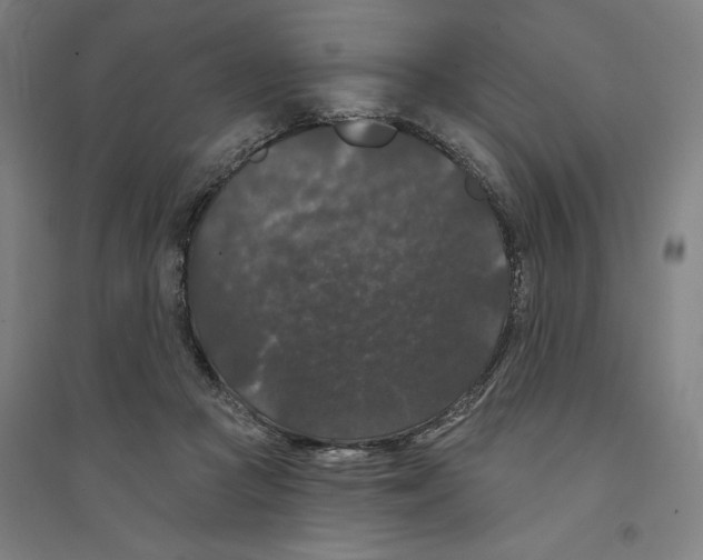 X0000094350361200711301407