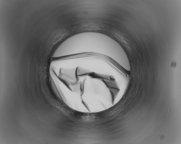 X0000094350362200711301407