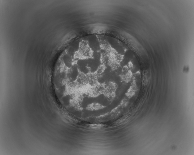 X0000094350363200711301407