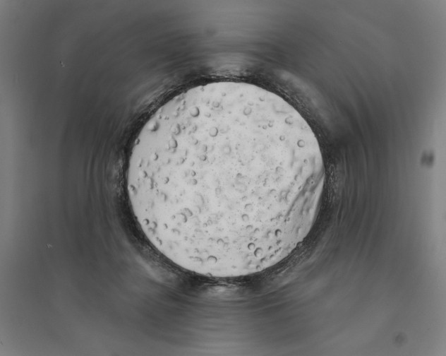 X0000094350364200711301407