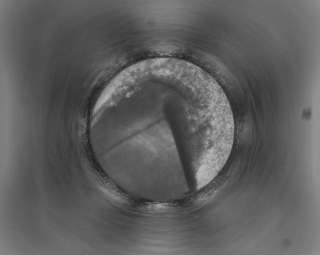 X0000094350365200711301407