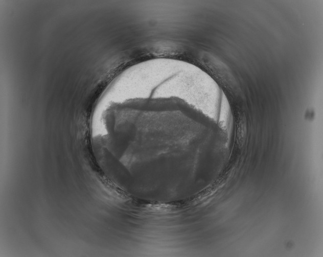 X0000094350367200711301407