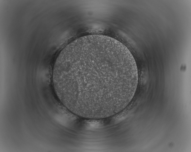 X0000094350370200711301407