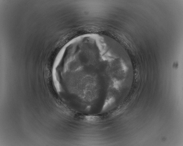 X0000094350371200711301407