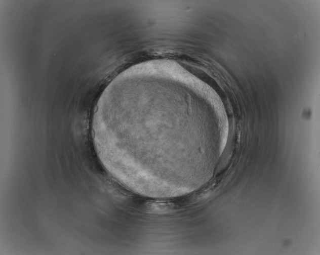 X0000094350372200711301407