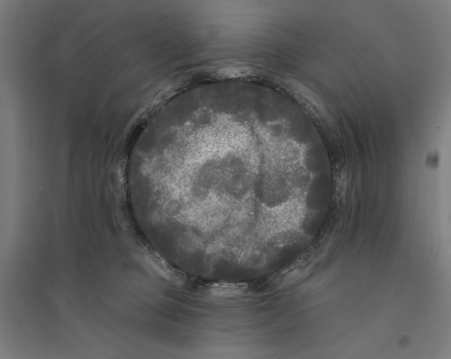 X0000094350373200711301407