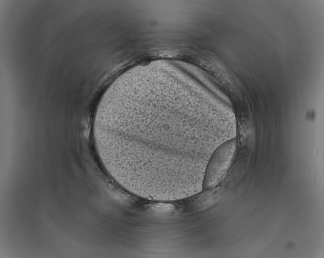 X0000094350374200711301407
