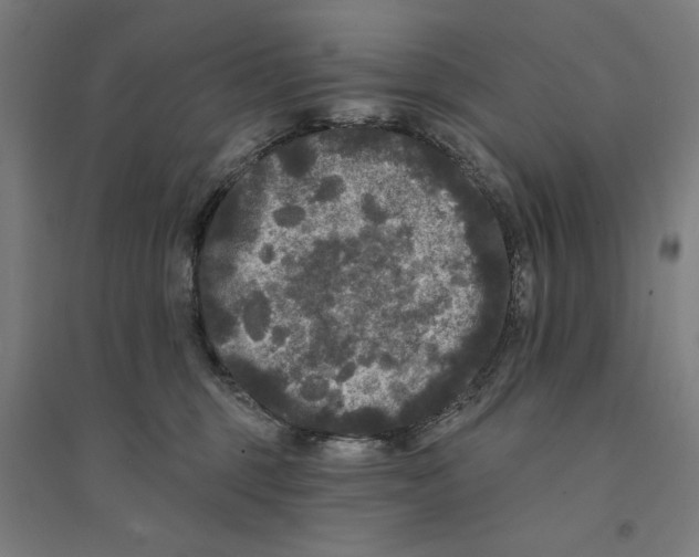 X0000094350375200711301407