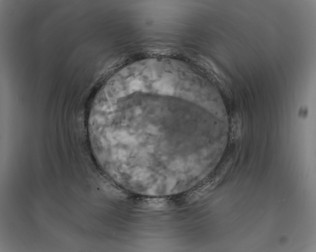 X0000094350377200711301407