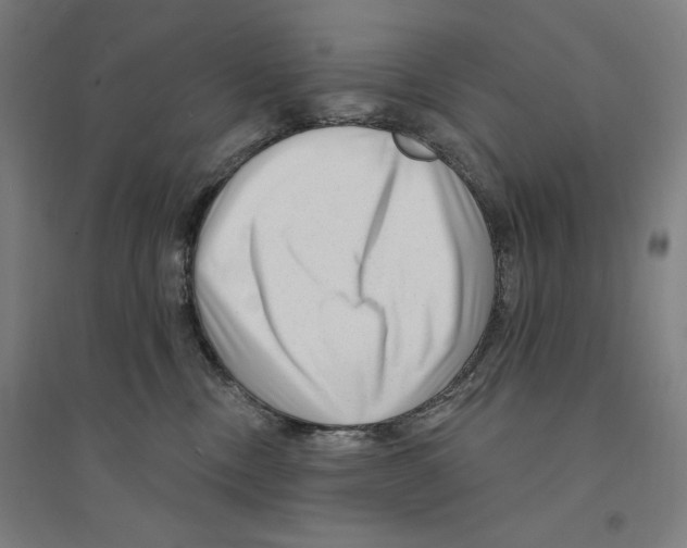 X0000094350378200711301407