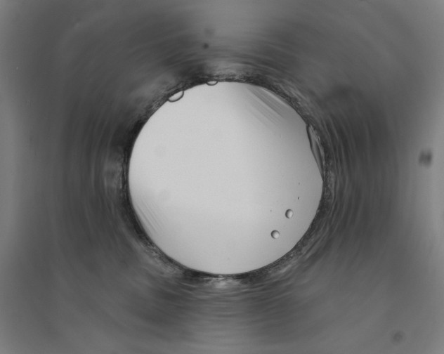 X0000094350379200711301407