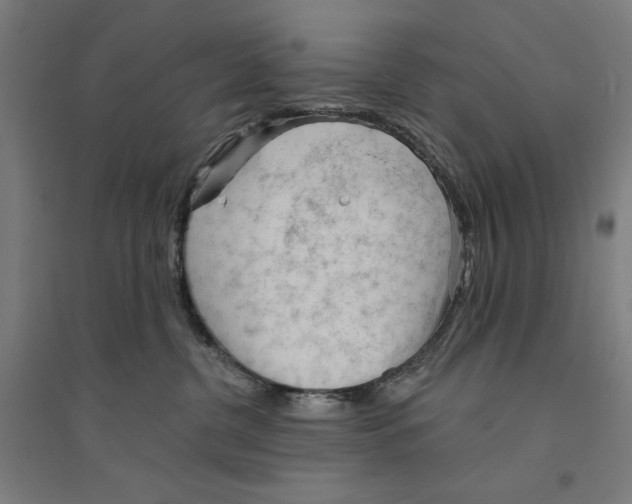 X0000094350380200711301407