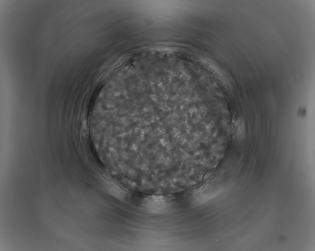 X0000094350381200711301407