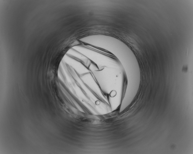 X0000094350382200711301408