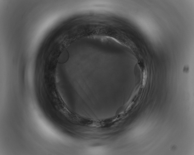 X0000094350383200711301408