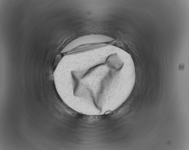 X0000094350384200711301408