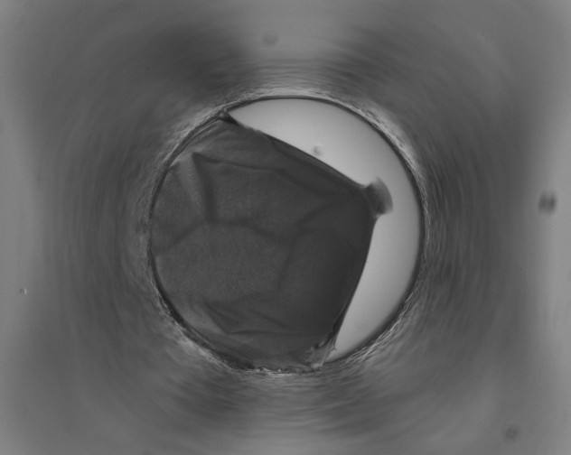 X0000094350385200711301407